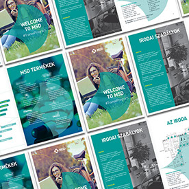 msd trainee program brochure