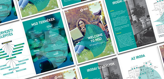 msd gyakornoki program brossúra