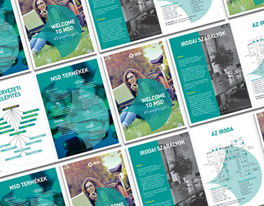 msd trainee program brochure