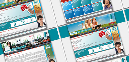 msd termék weboldal tervezés és fejlesztés