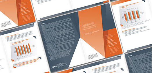 msd product brochure