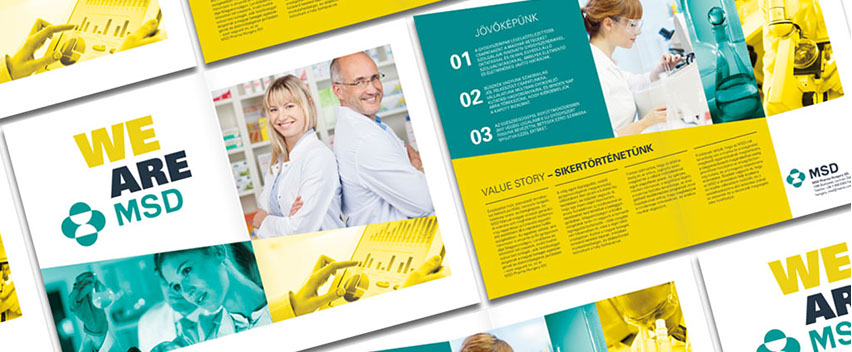 msd we are msd introduction leaflet