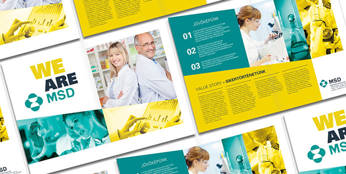 msd we are msd introduction leaflet