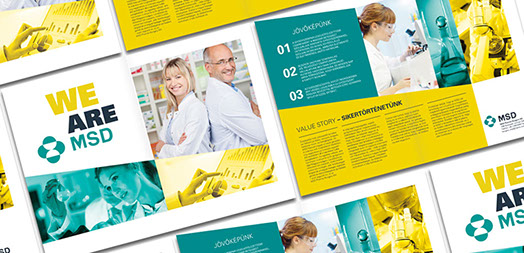 msd we are msd introduction leaflet