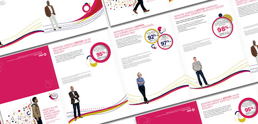 msd termék brossúra